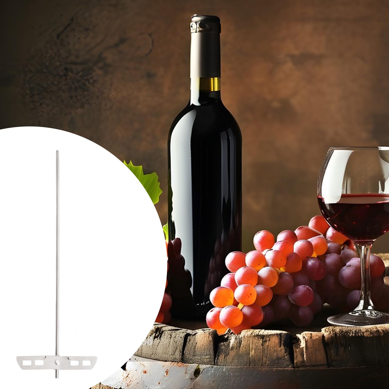 High Efficiency Degassing Whip - Wine With Beer Mix ulasan dan harga